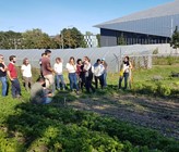 (c) YP/VSA (c) YP/VSA