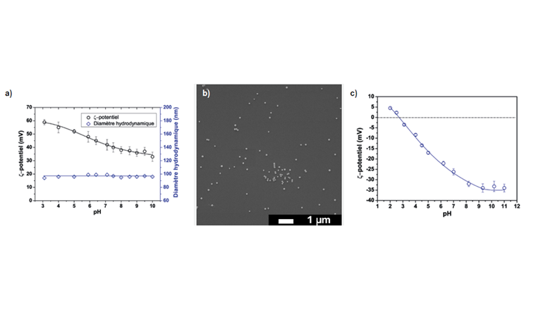 Fig. 1 (a) Variations du potentiel ζ et diamètre hydrodynamique moyen des nanoplastiques (20 mg/l) en fonction du pH dans l’eau ultrapure. Les nanoplastiques sont fortement chargés positivement et stable dans une large gamme de valeurs de pH. (b) Image de microscopie électronique à balayage des nanoplastiques (1 mg/l) dans l’eau ultrapure à pH 7,4 ± 0,1. Les nanoplastiques sont sphériques et dispersés. (c) Potentiel ζ d’une dispersion de charbon actif à une concentration de 5 g/l dans de l’eau ultrapure, avec point de charge zéro (PZC) égal à pHPZC= 2,7 ± 0,1.
