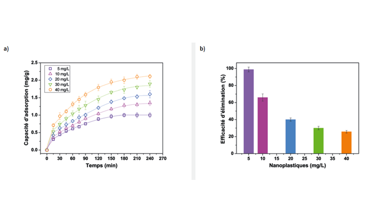 Fig. 2 (a) Effet de la concentration initiale en nanoplastiques et du temps de contact sur la capacité d’adsorption du charbon actif à une concentration de 5 g/l dans l’eau ultrapure à pH 7,4 ± 0,1, à température ambiante et vitesse d’agitation de 100 tours/minutes. (b) Effet de la concentration initiale en nanoplastiques sur l’efficacité d’élimination à 5 g/l en charbon actif dans de l’eau ultrapure à pH 7,4 ± 0,1 après 240 minutes de contact. L’efficacité d’élimination maximale (98%) est obtenue à 5 mg/l en nanoplastiques.