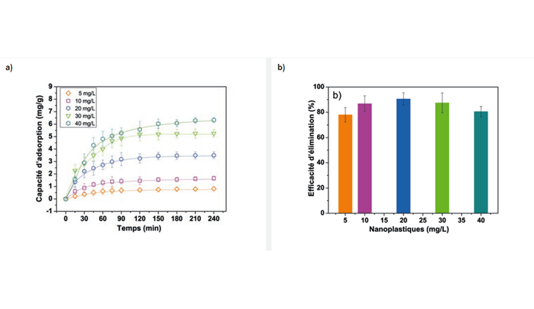 Fig. 3 (a) Effet de la concentration initiale en nanoplastiques et du temps de contact sur la capacité d’adsorption du charbon actif à une concentration de  5 g/l dans l’eau brute du lac Léman à pH 8,4 ± 0,1. (b) Effet de la concentration initiale en nanoplastiques sur l’efficacité d’élimination à 5 g/l en charbon actif dans de l’eau brute du lac Léman à pH 8,4 ± 0,1 après 240 minutes de contact. Expériences effectuées à température ambiante et sous agitation (100 tours/minutes).