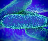 Charakterisierung von Legionellen mit molekularbiologischen Methoden. (©royaltystockphoto/123RF.com) Charakterisierung von Legionellen mit molekularbiologischen Methoden. (©royaltystockphoto/123RF.com)