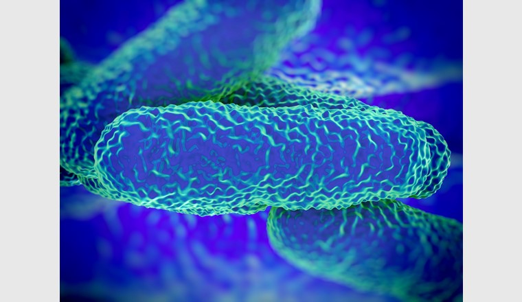 Charakterisierung von Legionellen mit molekularbiologischen Methoden. (©royaltystockphoto/123RF.com)