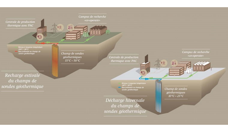 Le réservoir de chaleur - un champ de sondes géothermiques avec un gradient de température - comprend 144 sondes géothermiques qui atteignent jusqu'à 100 mètres de profondeur dans le sol. (Fig.: Empa)