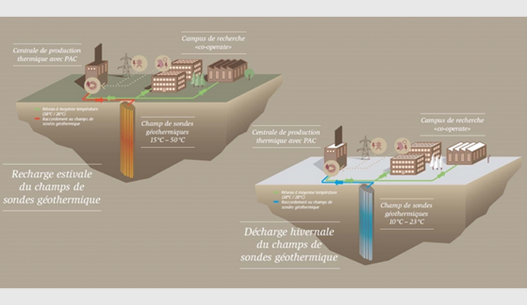 Le réservoir de chaleur - un champ de sondes géothermiques avec un gradient de température - comprend 144 sondes géothermiques qui atteignent jusqu'à 100 mètres de profondeur dans le sol. (Fig.: Empa)