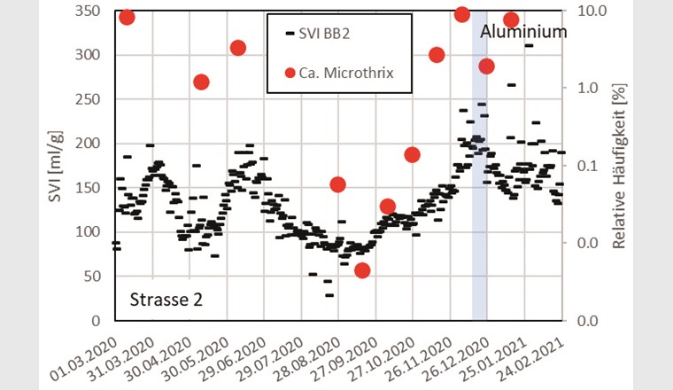 Fig. 4b SVI und relative Häufigkeit von Ca. Microthrix in Strasse 2